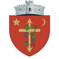 Primăria Comunei Miroslava