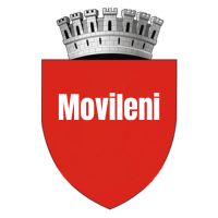 Primăria Comunei Movileni