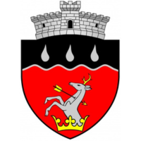 Primăria Comunei Costuleni
