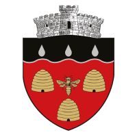 Primăria Comunei Prisăcani