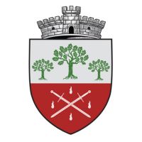 Primăria Comunei Rediu