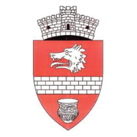 Primăria Comunei Valea Lupului