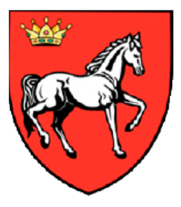 Consiliul Județean Iași