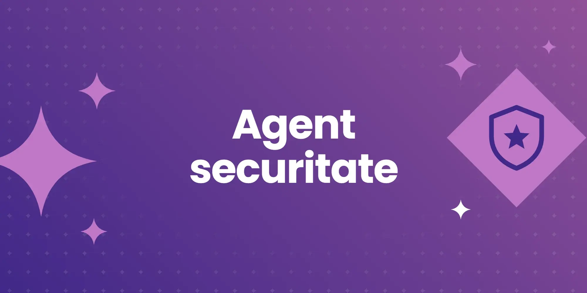 Curs Agent securitate – proiect CEAD – ADI Zona Metropolitană Iași