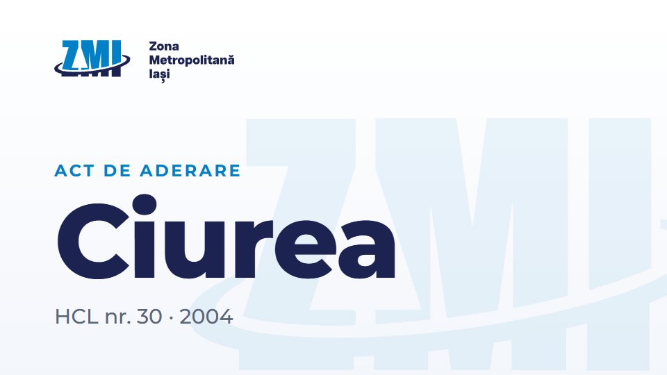 Copertă document: Ciurea HCL nr. 30 din 2004