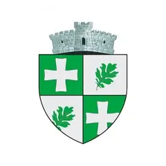 Stema comunei Tomești
